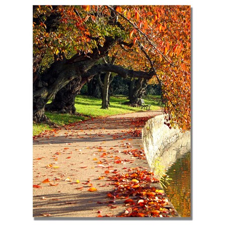 Trademark Fine Art MCat 'So Quietly' Canvas Art, 18x24 MZ0190-C1824GG